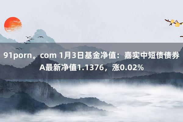 91porn。com 1月3日基金净值：嘉实中短债债券A最新净值1.1376，涨0.02%