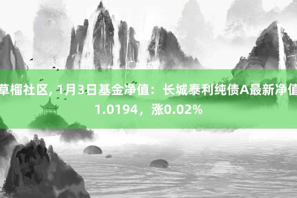 草榴社区， 1月3日基金净值：长城泰利纯债A最新净值1.0194，涨0.02%