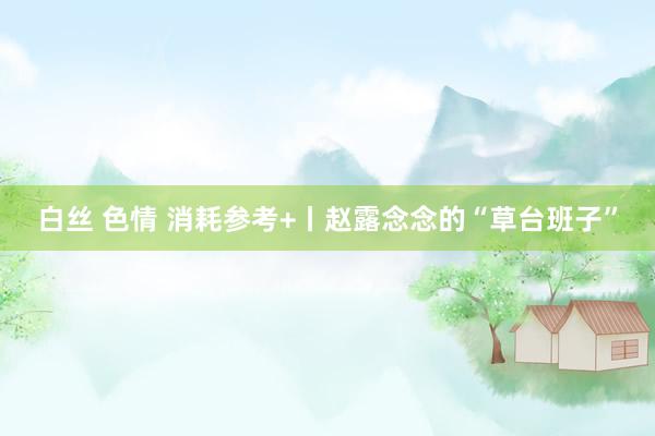 白丝 色情 消耗参考+丨赵露念念的“草台班子”