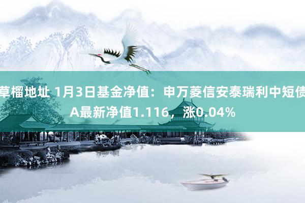 草榴地址 1月3日基金净值：申万菱信安泰瑞利中短债A最新净值1.116，涨0.04%