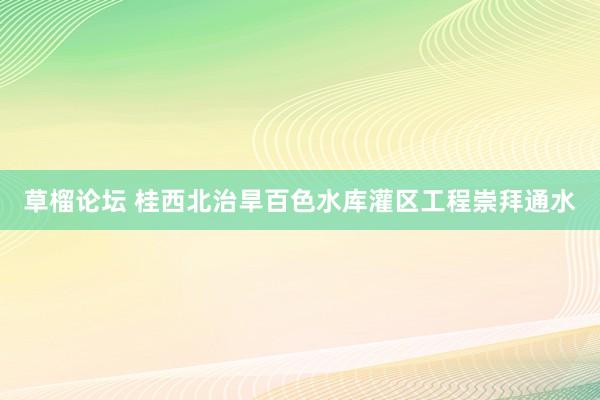 草榴论坛 桂西北治旱百色水库灌区工程崇拜通水