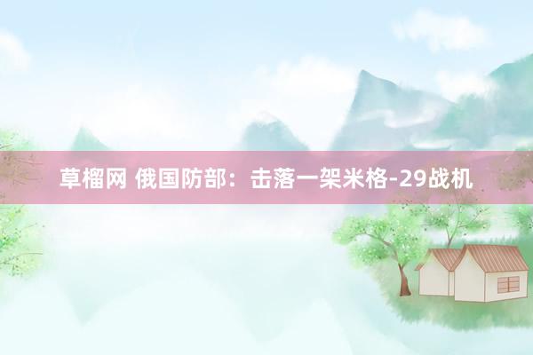 草榴网 俄国防部：击落一架米格-29战机