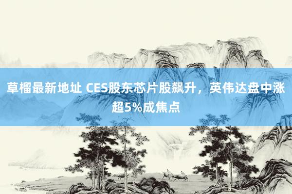 草榴最新地址 CES股东芯片股飙升，英伟达盘中涨超5%成焦点