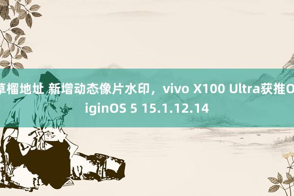 草榴地址 新增动态像片水印，vivo X100 Ultra获推OriginOS 5 15.1.12.14