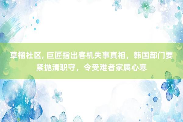 草榴社区， 巨匠指出客机失事真相，韩国部门要紧抛清职守，令受难者家属心寒