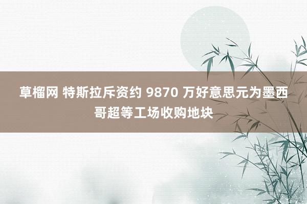 草榴网 特斯拉斥资约 9870 万好意思元为墨西哥超等工场收购地块