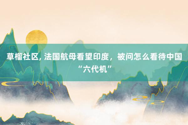 草榴社区， 法国航母看望印度，被问怎么看待中国“六代机”