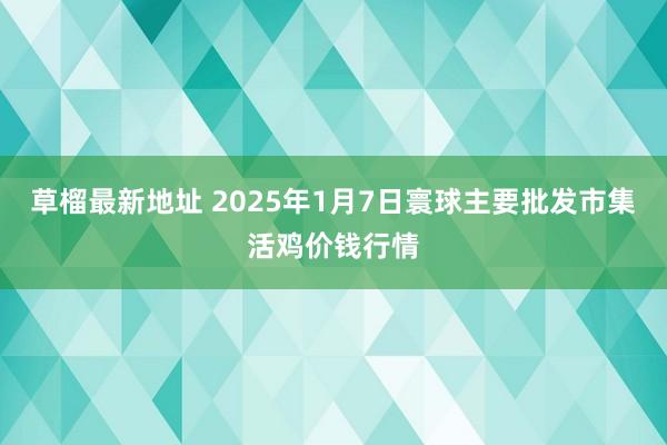 草榴最新地址 2025年1月7日寰球主要批发市集活鸡价钱行情