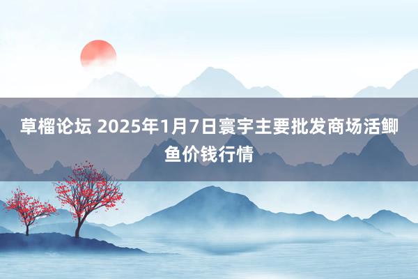 草榴论坛 2025年1月7日寰宇主要批发商场活鲫鱼价钱行情