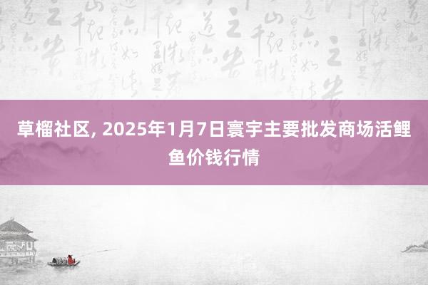 草榴社区， 2025年1月7日寰宇主要批发商场活鲤鱼价钱行情
