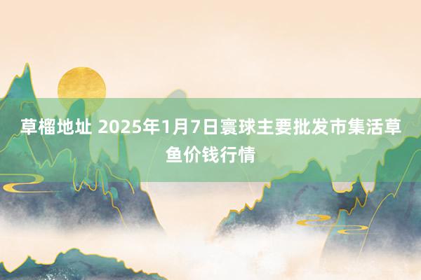 草榴地址 2025年1月7日寰球主要批发市集活草鱼价钱行情