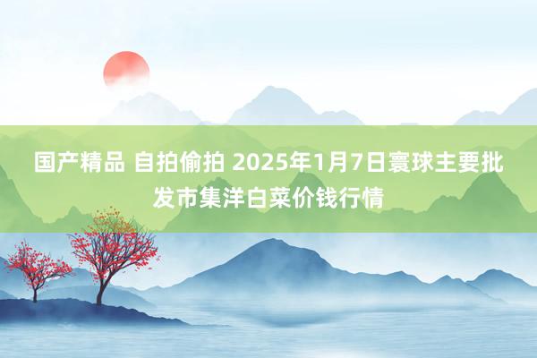 国产精品 自拍偷拍 2025年1月7日寰球主要批发市集洋白菜价钱行情