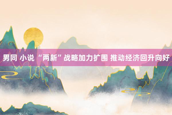 男同 小说 “两新”战略加力扩围 推动经济回升向好