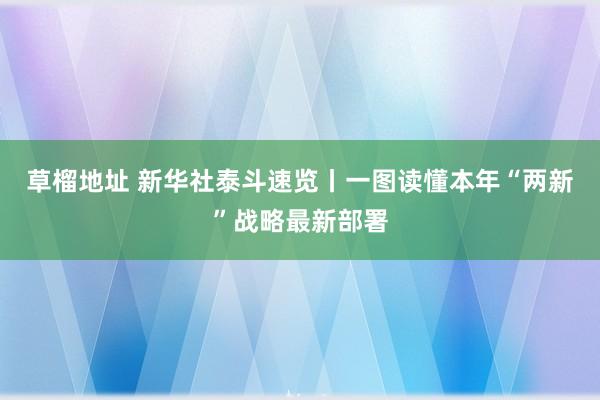 草榴地址 新华社泰斗速览丨一图读懂本年“两新”战略最新部署