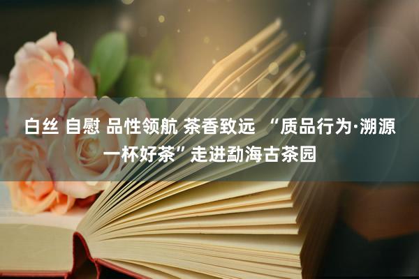 白丝 自慰 品性领航 茶香致远  “质品行为·溯源一杯好茶”走进勐海古茶园