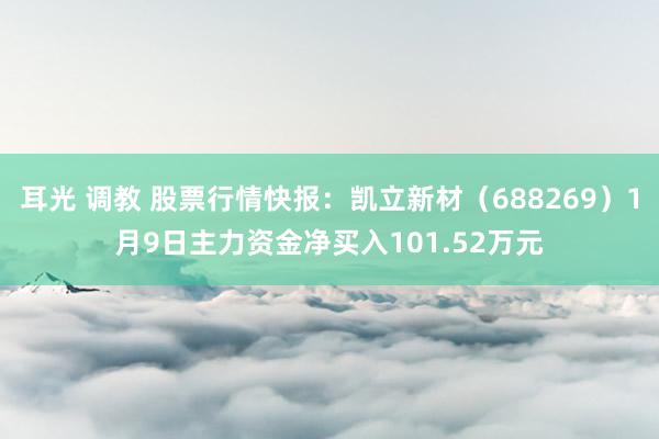 耳光 调教 股票行情快报：凯立新材（688269）1月9日主力资金净买入101.52万元