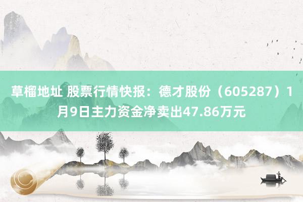 草榴地址 股票行情快报：德才股份（605287）1月9日主力资金净卖出47.86万元