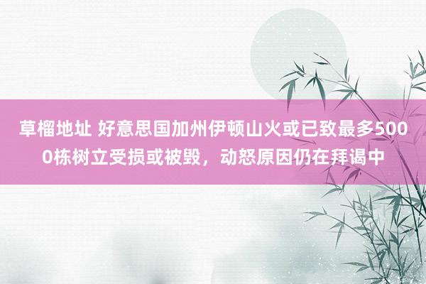 草榴地址 好意思国加州伊顿山火或已致最多5000栋树立受损或被毁，动怒原因仍在拜谒中