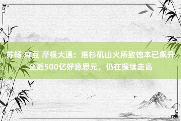 苏畅 麻豆 摩根大通：洛杉矶山火所致蚀本已飙升至近500亿好意思元，仍在握续走高