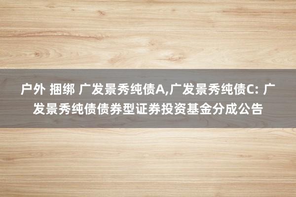 户外 捆绑 广发景秀纯债A,广发景秀纯债C: 广发景秀纯债债券型证券投资基金分成公告