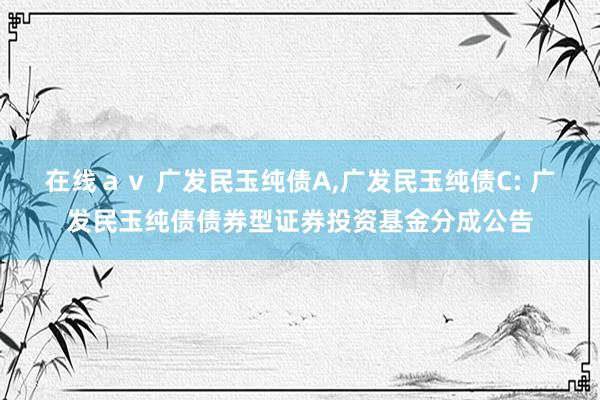 在线av 广发民玉纯债A,广发民玉纯债C: 广发民玉纯债债券型证券投资基金分成公告