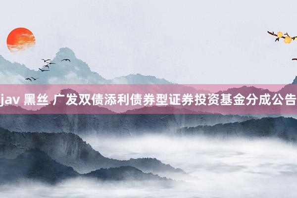 jav 黑丝 广发双债添利债券型证券投资基金分成公告