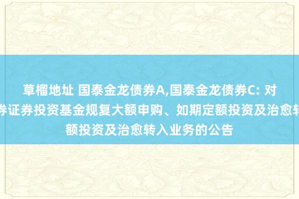 草榴地址 国泰金龙债券A，国泰金龙债券C: 对于国泰金龙债券证券投资基金规复大额申购、如期定额投资及治愈转入业务的公告