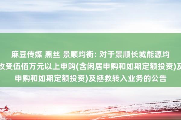 麻豆传媒 黑丝 景顺均衡: 对于景顺长城能源均衡证券投资基金暂停收受伍佰万元以上申购(含闲居申购和如期定额投资)及拯救转入业务的公告