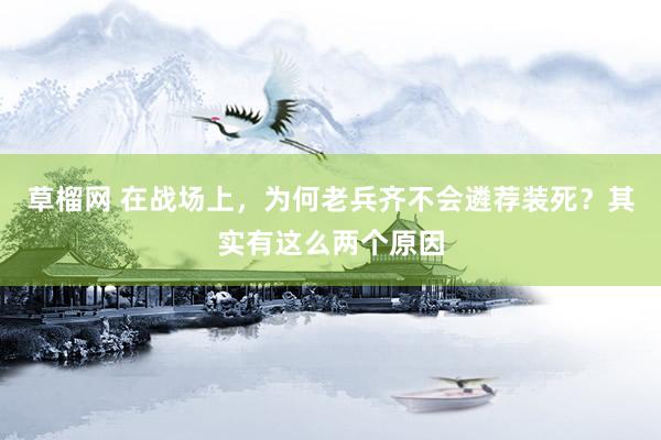 草榴网 在战场上，为何老兵齐不会遴荐装死？其实有这么两个原因