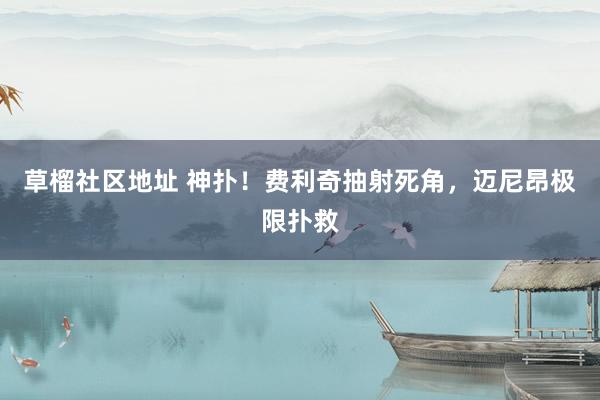 草榴社区地址 神扑！费利奇抽射死角，迈尼昂极限扑救