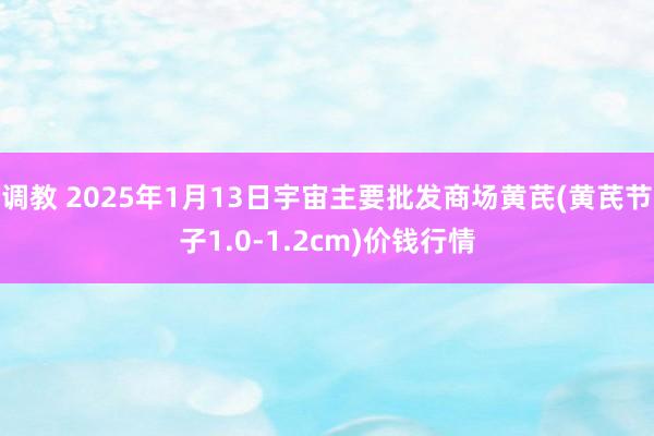 调教 2025年1月13日宇宙主要批发商场黄芪(黄芪节子1.0-1.2cm)价钱行情
