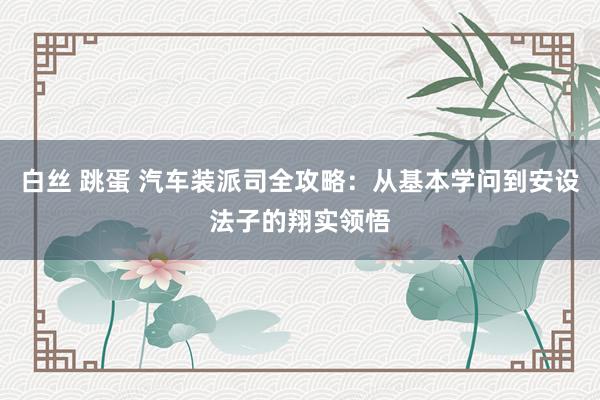 白丝 跳蛋 汽车装派司全攻略：从基本学问到安设法子的翔实领悟