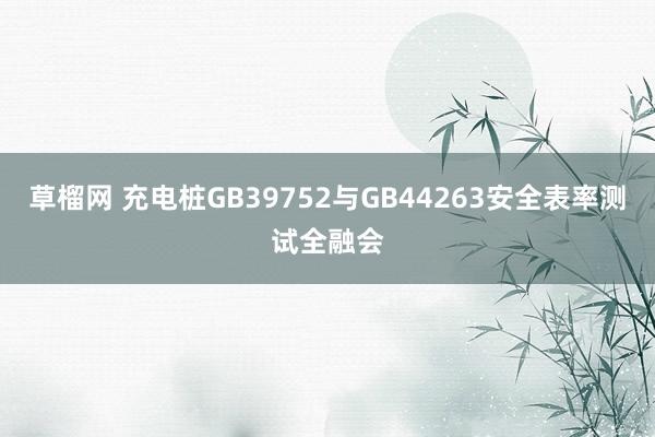 草榴网 充电桩GB39752与GB44263安全表率测试全融会