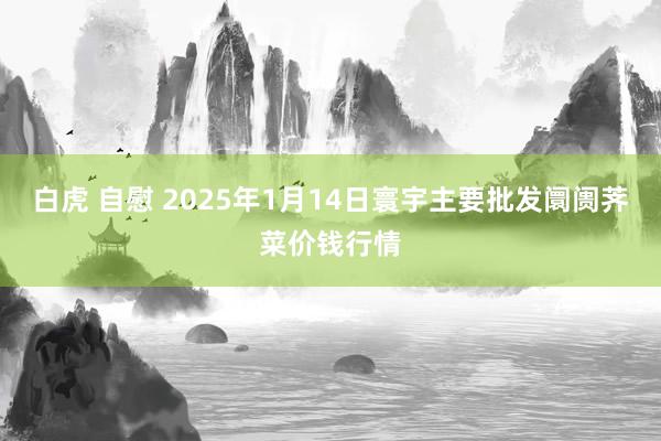白虎 自慰 2025年1月14日寰宇主要批发阛阓荠菜价钱行情