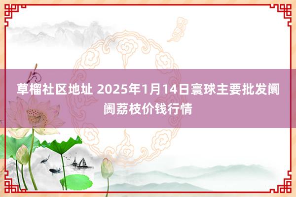 草榴社区地址 2025年1月14日寰球主要批发阛阓荔枝价钱行情