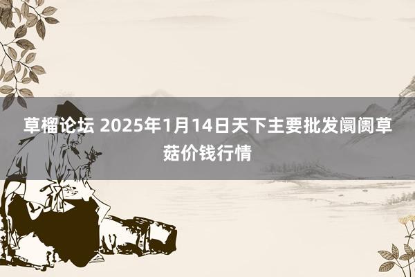 草榴论坛 2025年1月14日天下主要批发阛阓草菇价钱行情