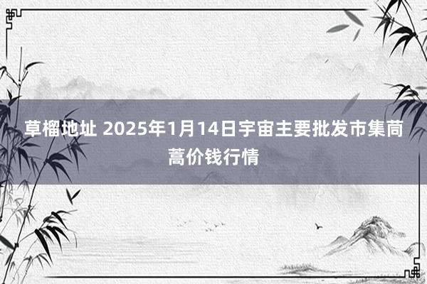 草榴地址 2025年1月14日宇宙主要批发市集茼蒿价钱行情
