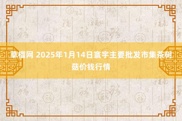 草榴网 2025年1月14日寰宇主要批发市集茶树菇价钱行情