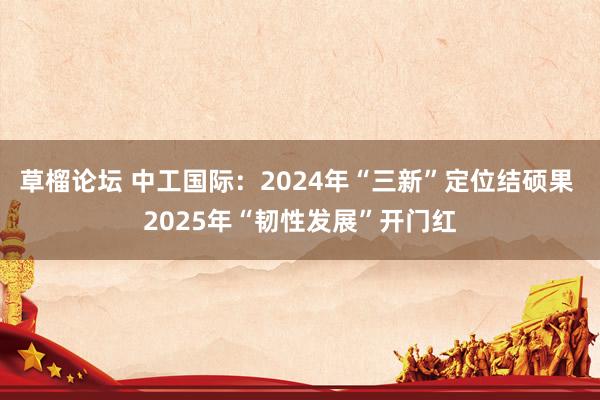 草榴论坛 中工国际：2024年“三新”定位结硕果 2025年“韧性发展”开门红