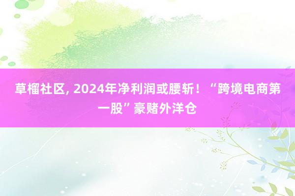 草榴社区， 2024年净利润或腰斩！“跨境电商第一股”豪赌外洋仓