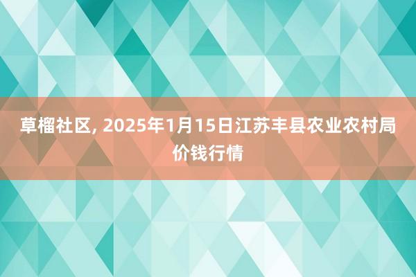 草榴社区, 2025年1月15日江苏丰县农业农村局价钱行情