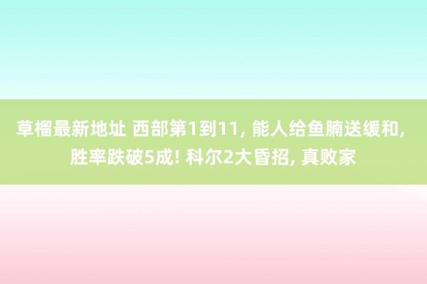 草榴最新地址 西部第1到11， 能人给鱼腩送缓和， 胜率跌破5成! 科尔2大昏招， 真败家