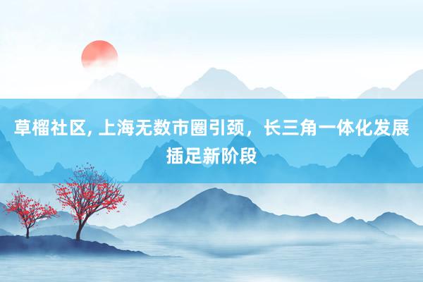 草榴社区， 上海无数市圈引颈，长三角一体化发展插足新阶段