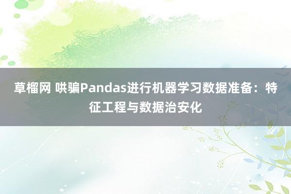 草榴网 哄骗Pandas进行机器学习数据准备：特征工程与数据治安化