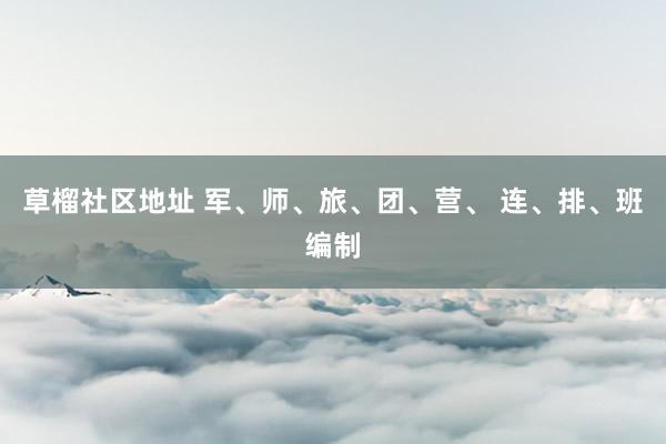 草榴社区地址 军、师、旅、团、营、 连、排、班编制
