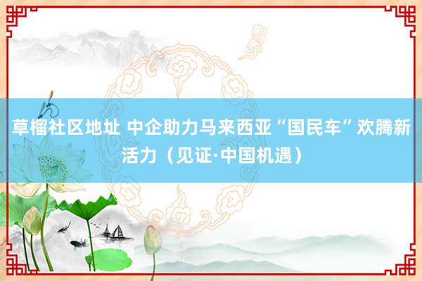 草榴社区地址 中企助力马来西亚“国民车”欢腾新活力（见证·中国机遇）