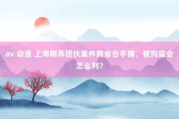 av 动漫 上海糊弄团伙案件跨省合手捕，被拘留会怎么判？