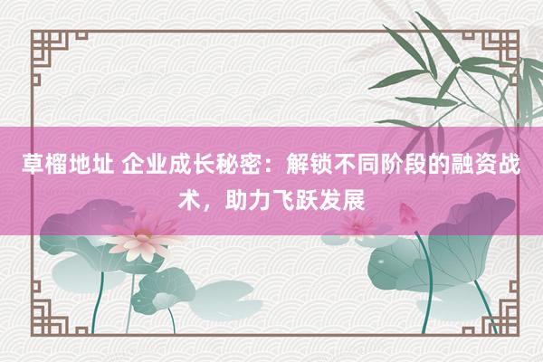 草榴地址 企业成长秘密：解锁不同阶段的融资战术，助力飞跃发展
