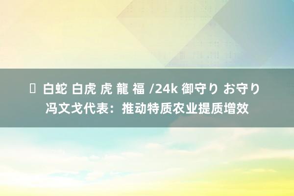 ✨白蛇 白虎 虎 龍 福 /24k 御守り お守り 冯文戈代表：推动特质农业提质增效