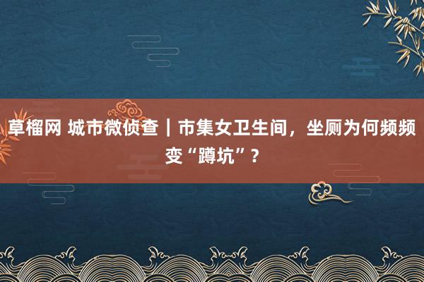 草榴网 城市微侦查｜市集女卫生间，坐厕为何频频变“蹲坑”？